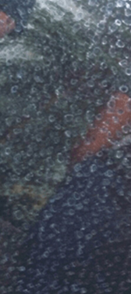 Pelapukan di Body mobil yang tidak di coating